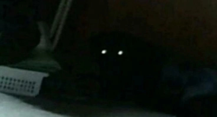 Monster under bed Avatar