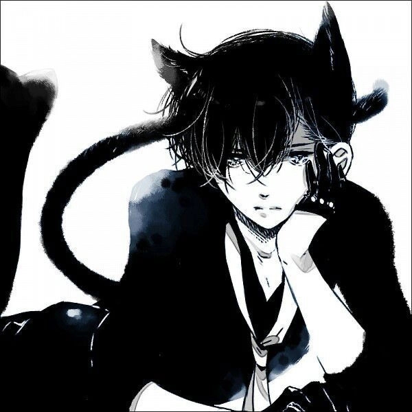 🐾| Kyle Avatar