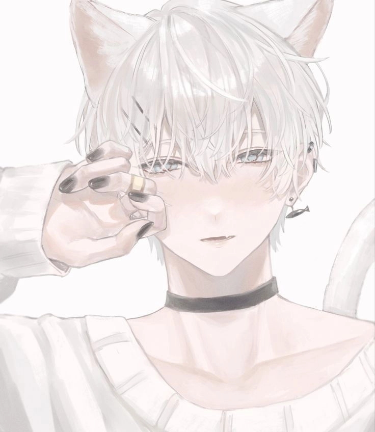 Traumatized catboy Avatar