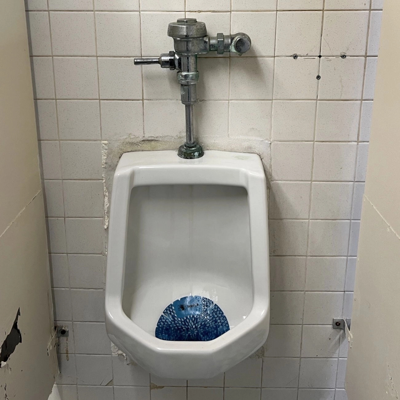 🚽 | Public Urinal Avatar