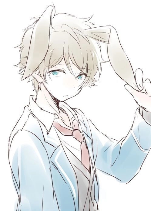 Bunny hybrid 